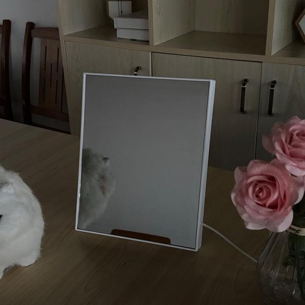 magic mirror - Image 4